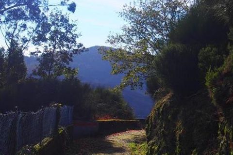 Landejendom i Ponte de Lima, Viana do Castelo, Ponte de Lima - € 30.000 | Ref: Ap_inporto_604 - foto 2