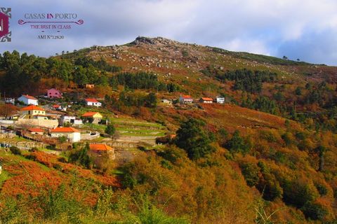 Landejendom i Ponte de Lima, Viana do Castelo, Ponte de Lima - € 30.000 | Ref: Ap_inporto_604 - foto 6