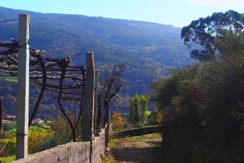 Landejendom i Ponte de Lima, Viana do Castelo, Ponte de Lima - € 30.000 | Ref: Ap_inporto_604 - foto 9