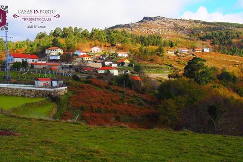 Landejendom i Ponte de Lima, Viana do Castelo, Ponte de Lima - € 30.000 | Ref: Ap_inporto_604 - foto 10