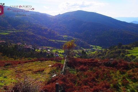 Landejendom i Ponte de Lima, Viana do Castelo, Ponte de Lima - € 30.000 | Ref: Ap_inporto_604 - foto 11