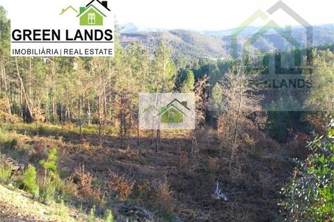 Tomt i Arganil, Coimbra, Arganil - € 25 000 | Ref: 12 - foto 4