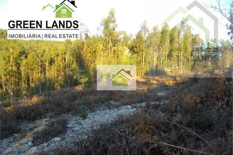 Tomt i Arganil, Coimbra, Arganil - € 25 000 | Ref: 12 - foto 5