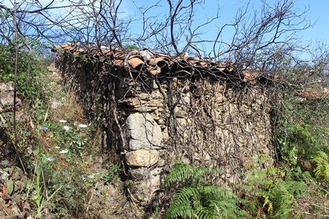 Villa i Arganil, Coimbra, Arganil - € 19.000 | Ref: 385 - foto 3