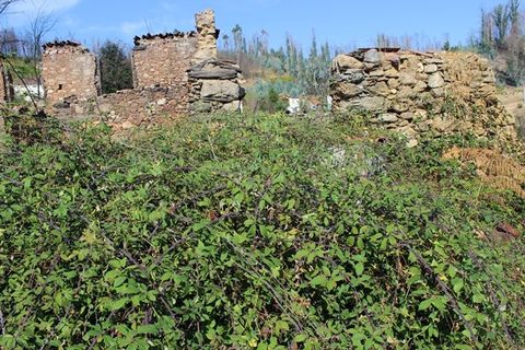 Villa i Arganil, Coimbra, Arganil - € 19.000 | Ref: 385 - foto 9