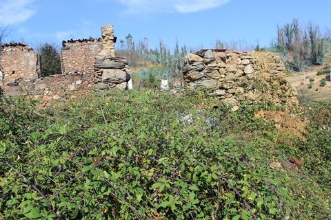 Villa i Arganil, Coimbra, Arganil - € 19.000 | Ref: 385 - foto 10