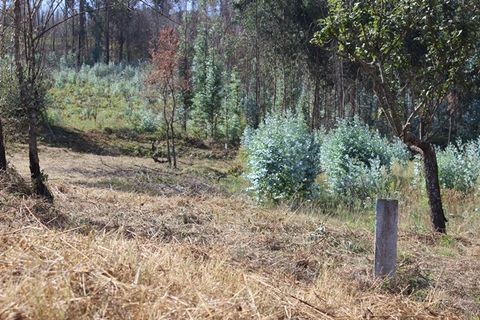 Villa i Arganil, Coimbra, Arganil - € 19.000 | Ref: 385 - foto 18