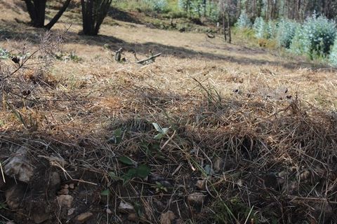 Villa i Arganil, Coimbra, Arganil - € 19.000 | Ref: 385 - foto 19