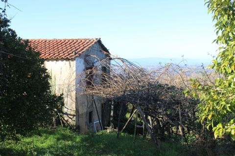 Helårsgrund i Arganil, Coimbra, Arganil - € 35.690 | Ref: 415 - foto 2