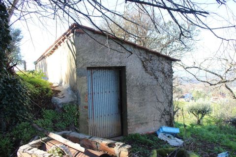 Helårsgrund i Arganil, Coimbra, Arganil - € 35.690 | Ref: 415 - foto 5