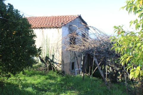 Helårsgrund i Arganil, Coimbra, Arganil - € 35.690 | Ref: 415 - foto 12
