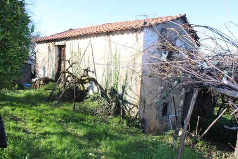 Helårsgrund i Arganil, Coimbra, Arganil - € 35.690 | Ref: 415 - foto 16