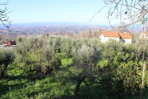 Helårsgrund i Arganil, Coimbra, Arganil - € 35.690 | Ref: 415 - foto 17