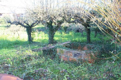 Helårsgrund i Arganil, Coimbra, Arganil - € 35.690 | Ref: 415 - foto 18