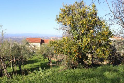 Helårsgrund i Arganil, Coimbra, Arganil - € 35.690 | Ref: 415 - foto 20