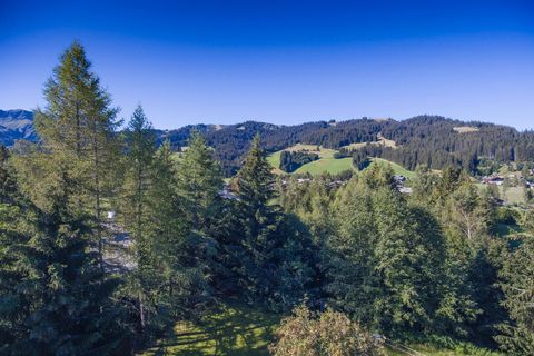 Træhytte i Megève, Haute-Savoie, Megève - € 4.200.000 | Ref: DAVBS 2027A - foto 5