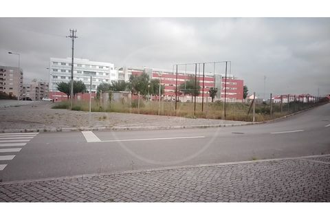 Erhvervsejendom i Pedroucos, Porto, Pedroucos - € 650.000 | Ref: FA215 - foto 4