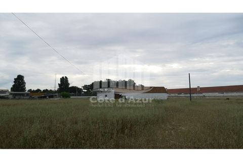 Helårsgrund i Palmela, Setubal, Palmela - € 375.000 | Ref: 7585 - foto 1