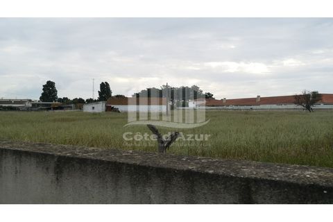 Helårsgrund i Palmela, Setubal, Palmela - € 375.000 | Ref: 7585 - foto 3