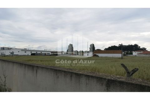 Helårsgrund i Palmela, Setubal, Palmela - € 375.000 | Ref: 7585 - foto 4
