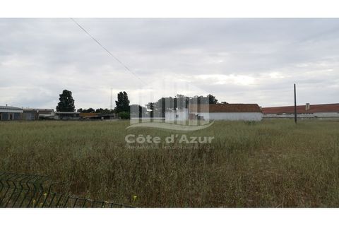 Helårsgrund i Palmela, Setubal, Palmela - € 375.000 | Ref: 7585 - foto 5