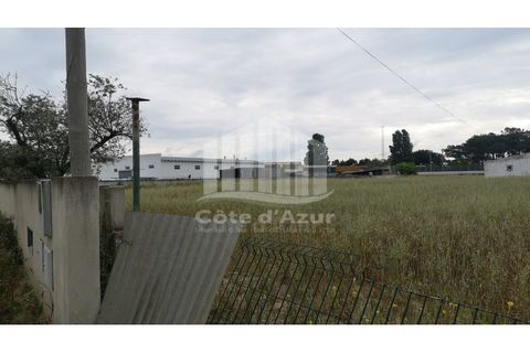 Helårsgrund i Palmela, Setubal, Palmela - € 375.000 | Ref: 7585 - foto 6