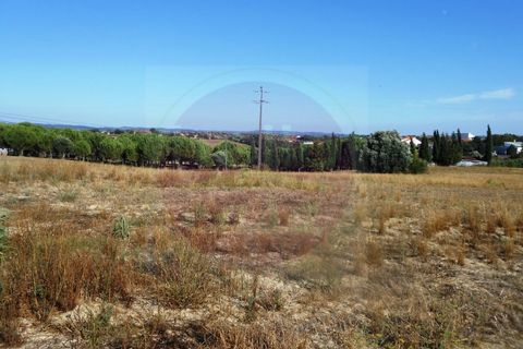Helårsgrund i Tomar, Santarem, Tomar - € 70.000 | Ref: T 257 - foto 9