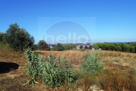 Helårsgrund i Tomar, Santarem, Tomar - € 70.000 | Ref: T 257 - foto 11