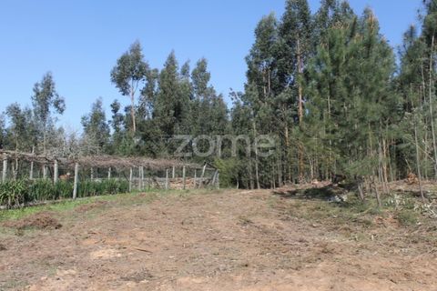 Tomt i Aguiar de Sousa, Porto, Aguiar de Sousa - € 75 000 | Ref: ZMPT532670 - foto 4
