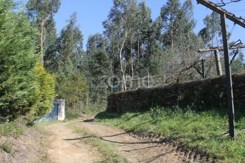 Tomt i Aguiar de Sousa, Porto, Aguiar de Sousa - € 75 000 | Ref: ZMPT532670 - foto 9