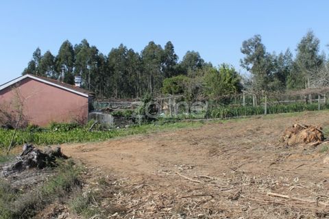 Tomt i Aguiar de Sousa, Porto, Aguiar de Sousa - € 75 000 | Ref: ZMPT532670 - foto 3