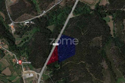 Tomt i Aguiar de Sousa, Porto, Aguiar de Sousa - € 74 000 | Ref: ZMPT537973 - foto 6