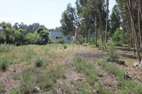 Helårsgrund i Amares, Braga, Amares - € 205.000 | Ref: ZMPT532282 - foto 15