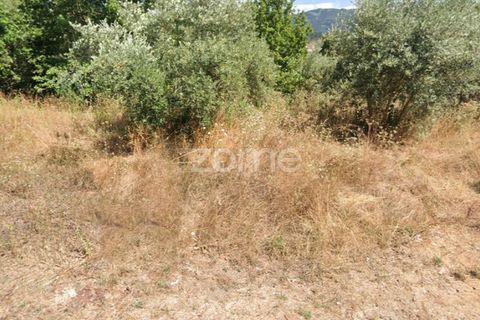 Helårsgrund i Miranda do Corvo, Coimbra, Miranda do Corvo - € 50.000 | Ref: ZMPT543232 - foto 6