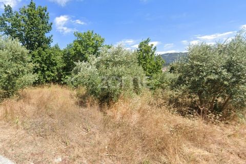 Helårsgrund i Miranda do Corvo, Coimbra, Miranda do Corvo - € 50.000 | Ref: ZMPT543232 - foto 7
