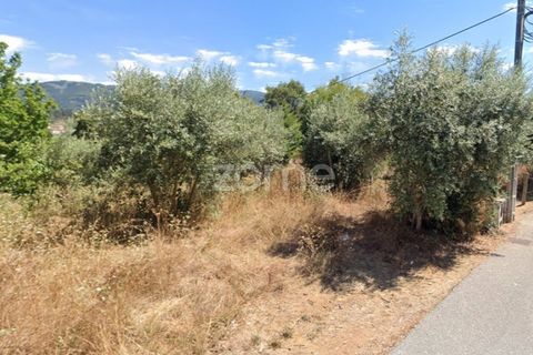 Helårsgrund i Miranda do Corvo, Coimbra, Miranda do Corvo - € 50.000 | Ref: ZMPT543232 - foto 9