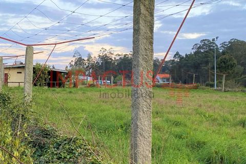Helårsgrund i Maia, Porto, Maia - € 293.550 | Ref: TC1134 - foto 5