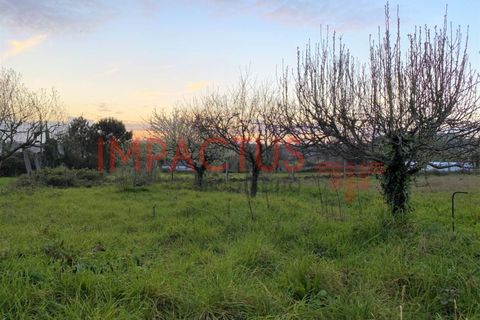 Helårsgrund i Maia, Porto, Maia - € 293.550 | Ref: TC1134 - foto 8