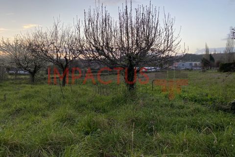 Helårsgrund i Maia, Porto, Maia - € 293.550 | Ref: TC1134 - foto 9