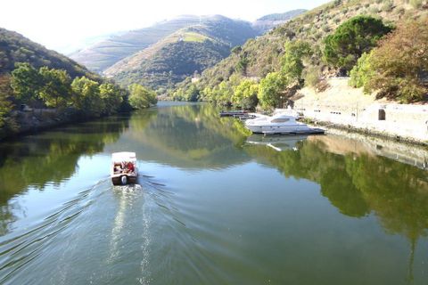 Farm i Alijo, Vila Real, Alijo - € 700.000 | Ref: 7647_I - foto 4