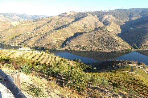 Farm i Alijo, Vila Real, Alijo - € 700.000 | Ref: 7647_I - foto 6