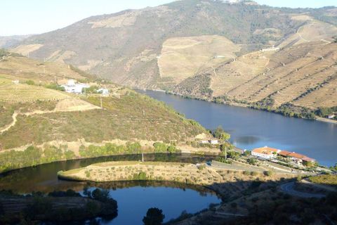 Farm i Alijo, Vila Real, Alijo - € 700.000 | Ref: 7647_I - foto 8