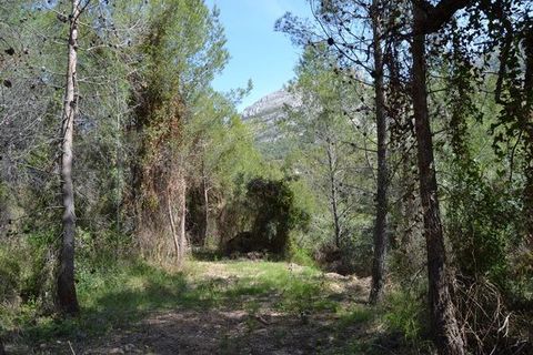 Terra a Beniarda, Alicante, Beniarda - € 120.000 | Ref: 6333 - foto 6