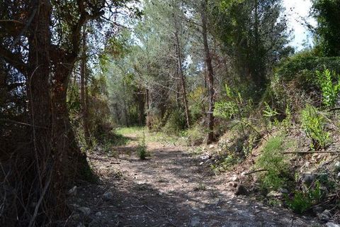 Terra a Beniarda, Alicante, Beniarda - € 120.000 | Ref: 6333 - foto 7