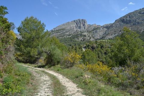 Terra a Beniarda, Alicante, Beniarda - € 120.000 | Ref: 6333 - foto 8