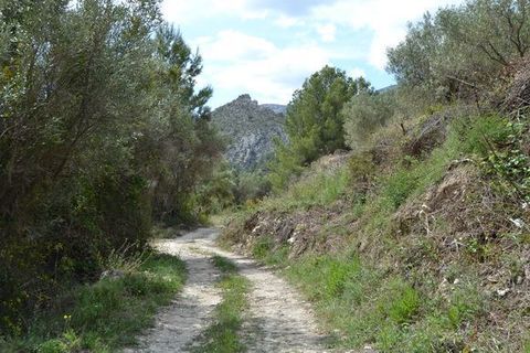 Terra a Beniarda, Alicante, Beniarda - € 120.000 | Ref: 6333 - foto 11