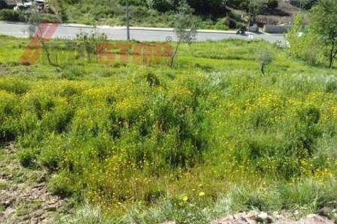 Helårsgrund i Agueda, Aveiro, Agueda - € 50.000 | Ref: 11003 - foto 4