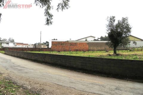 Helårsgrund i Agueda, Aveiro, Agueda - € 30.000 | Ref: 11064 - foto 3