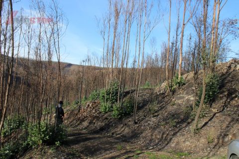 Helårsgrund i Arouca, Aveiro, Arouca - € 35.000 | Ref: 12154 - foto 3
