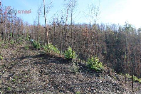 Helårsgrund i Arouca, Aveiro, Arouca - € 35.000 | Ref: 12154 - foto 4
